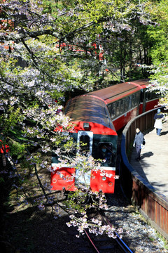 阿里山小火車