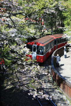 小火車