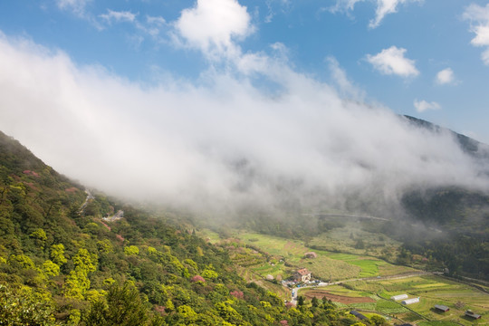 阳明山