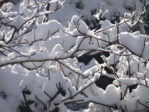 北京雪世界