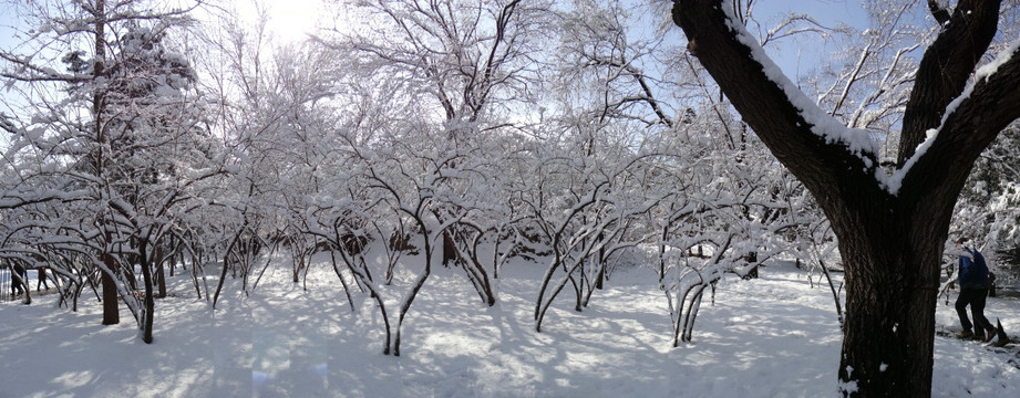 雪世界