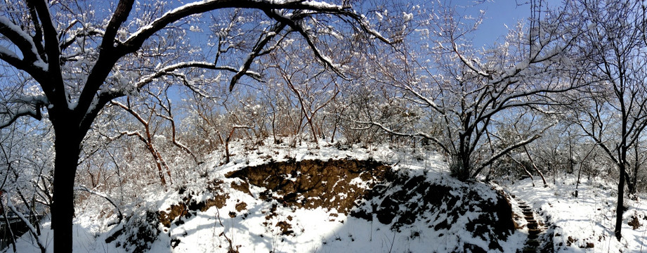 缤纷雪世界