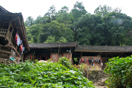 军屯村人家户