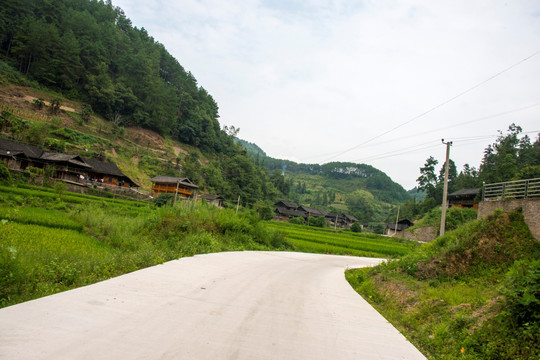 军屯人家公路