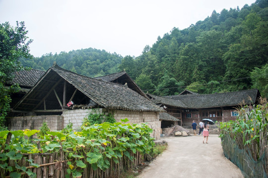 四合院农村