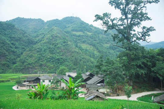 板桥村