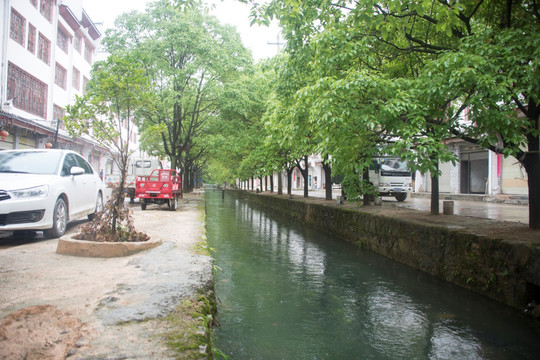樟树河水