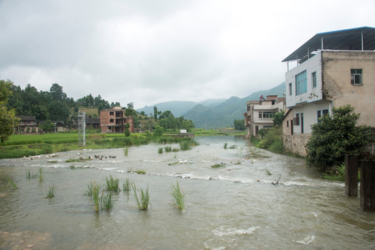 龙鳌河上游河水