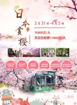 日本旅游 日本樱花 单页 海报