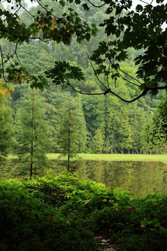 自然风景