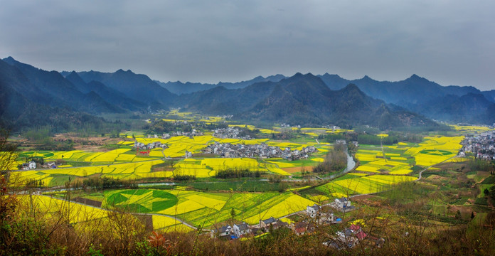 皖南油菜花风光