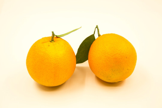 脐橙 赣南脐橙 水果