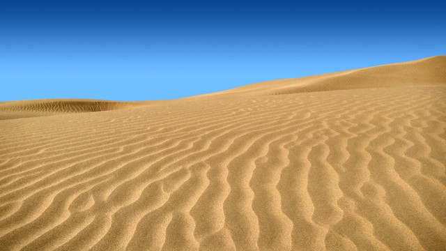 沙漠，沙海