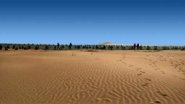 沙漠治理，绿化沙漠