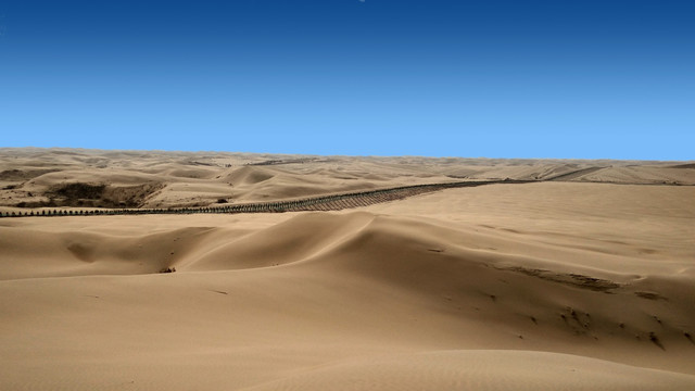 沙漠治理，绿化沙漠，沙海，沙漠