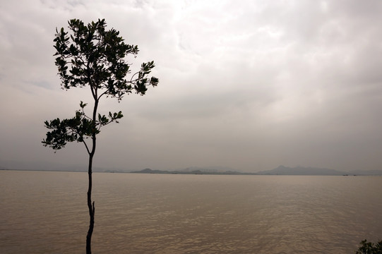 黄昏的海边