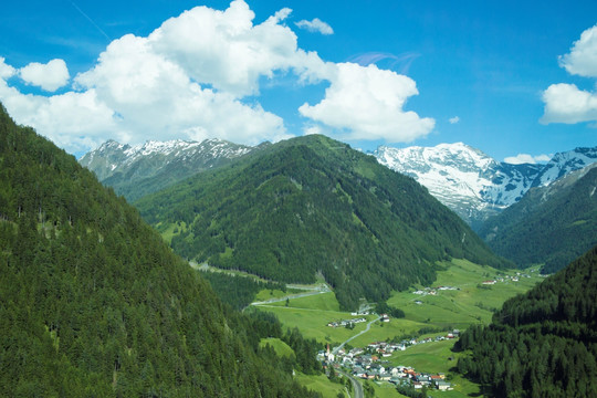 阿尔卑斯山森林草场