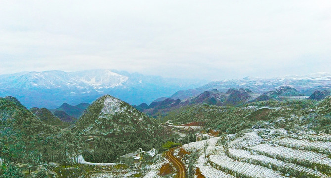 雪地