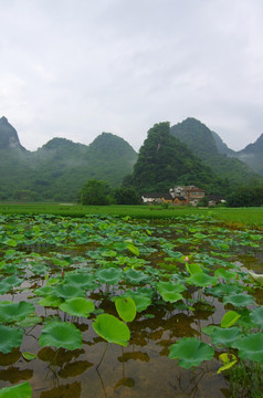 乡村美景