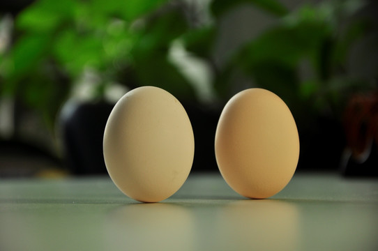 两个蛋蛋