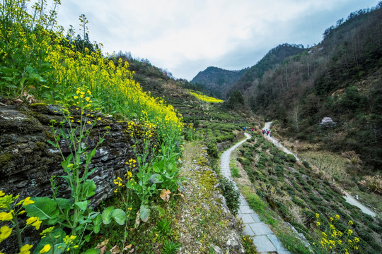 石潭风光