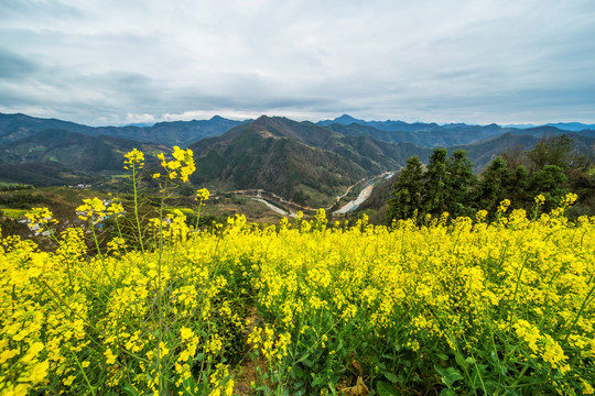 石潭风光