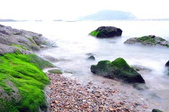 涌动的大海 海的春天 绿色的海