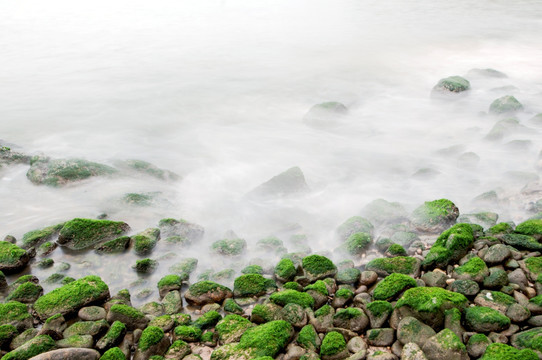 涌动的大海 海的春天 绿色的海