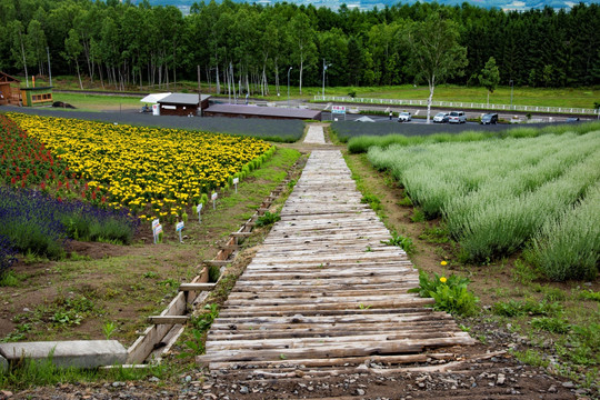 北海道农庄