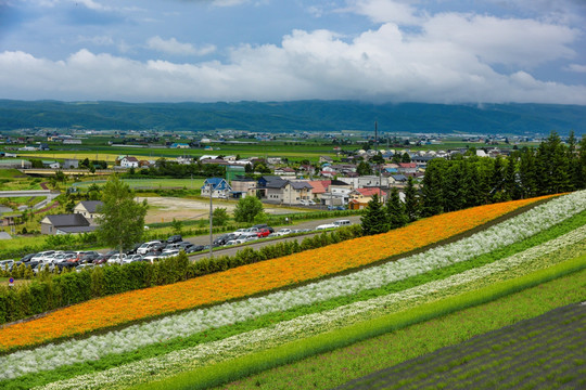 北海道唯美风光美瑛拼布之旅