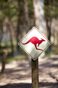 动物指示牌标志
