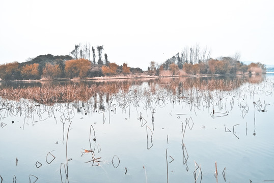 长广溪湿地公园