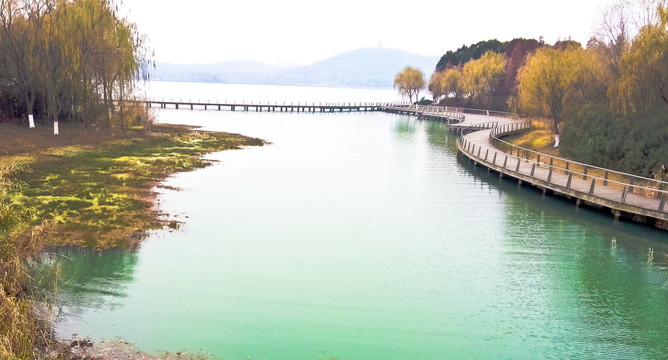 木栈道 湿地 太湖风光