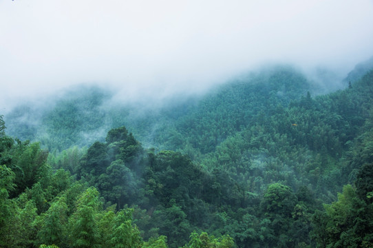 雾色山景