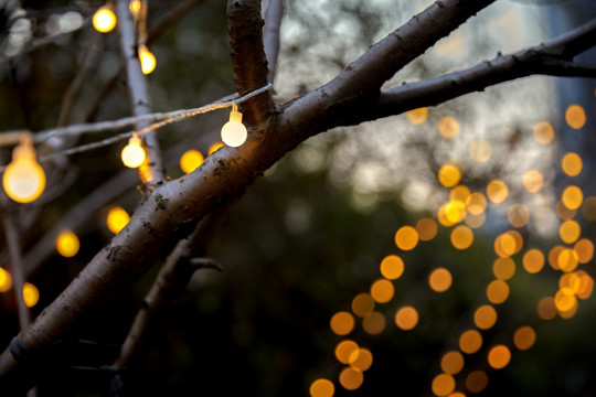 挂在树上的户外黄灯串节日气氛