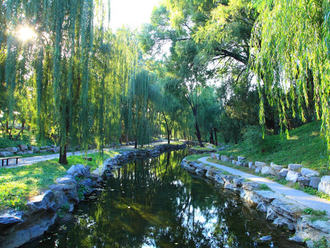 北京庭院池塘