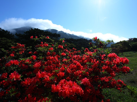 阳明山国家公园