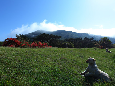 阳明山