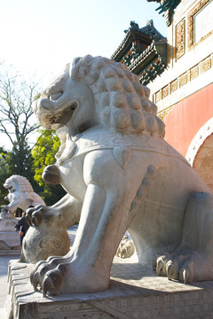 北京石狮