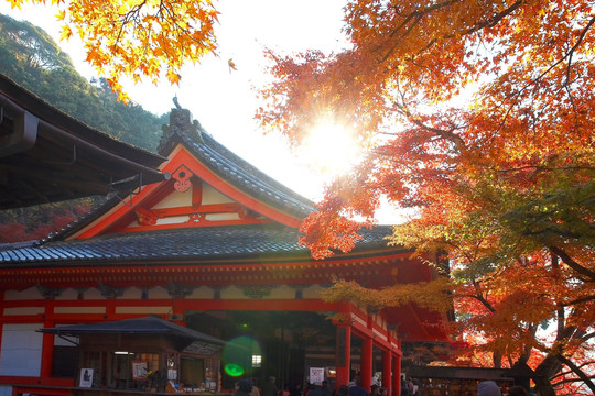 日本清水寺