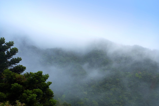 山区雾气