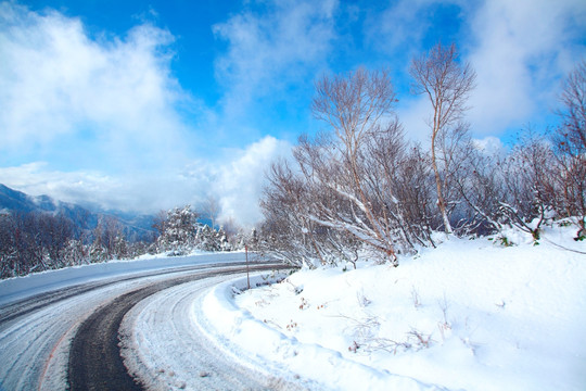 道路风光