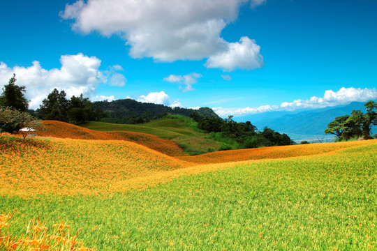 大地风景