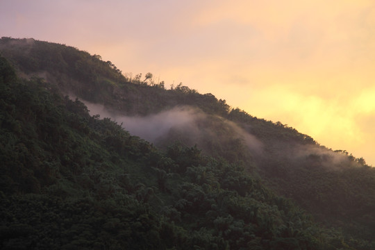 风景