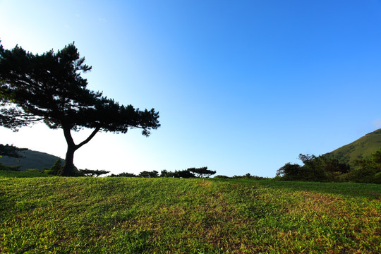 风景