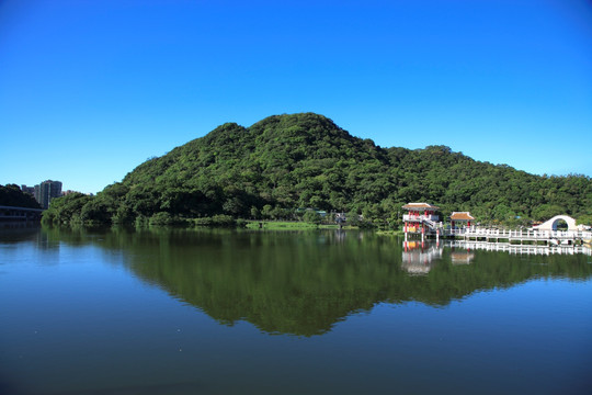台北大湖公园