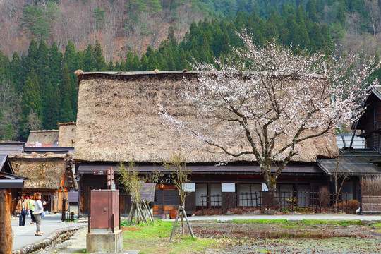 日本白川乡