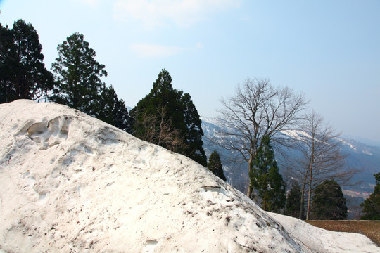 日本立山黑部