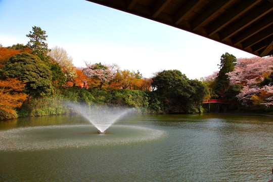 日本松川公园