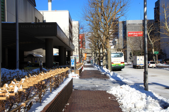 日本札幌的冬天